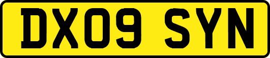 DX09SYN