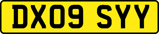 DX09SYY