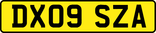 DX09SZA