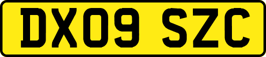 DX09SZC