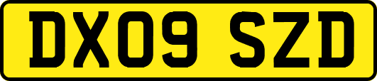 DX09SZD