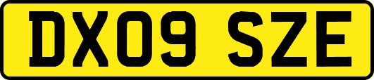 DX09SZE