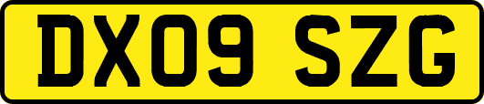 DX09SZG
