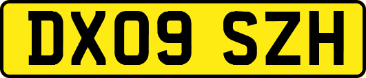 DX09SZH