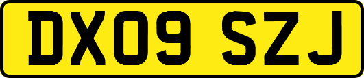 DX09SZJ