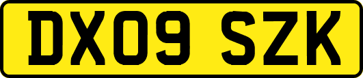 DX09SZK