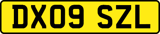 DX09SZL