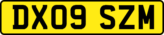 DX09SZM