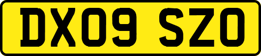 DX09SZO