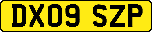 DX09SZP
