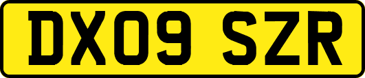 DX09SZR