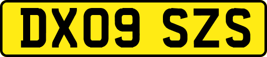 DX09SZS
