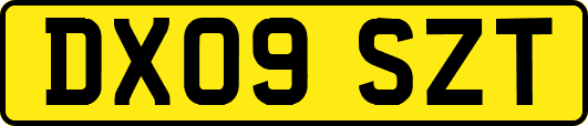 DX09SZT