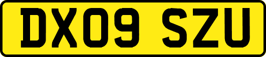 DX09SZU