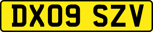 DX09SZV