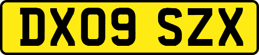 DX09SZX