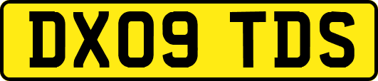 DX09TDS