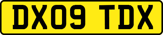 DX09TDX