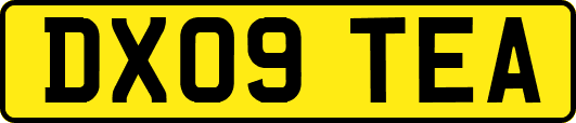 DX09TEA