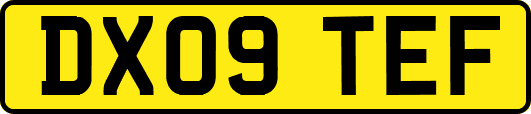 DX09TEF