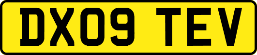 DX09TEV