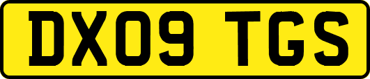 DX09TGS