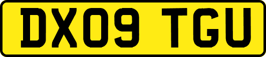 DX09TGU