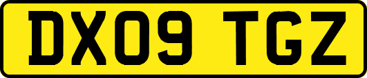 DX09TGZ