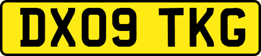 DX09TKG