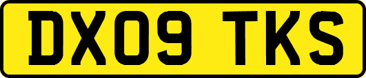 DX09TKS