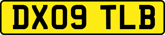 DX09TLB