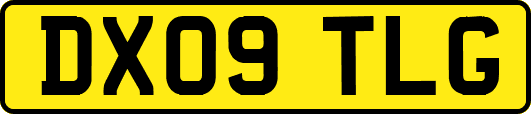 DX09TLG