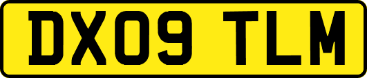 DX09TLM