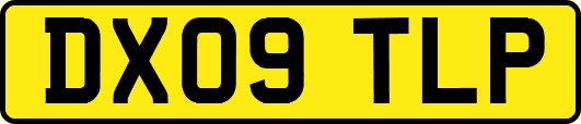 DX09TLP