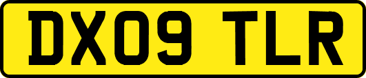 DX09TLR