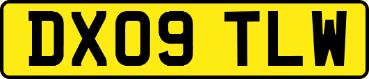 DX09TLW