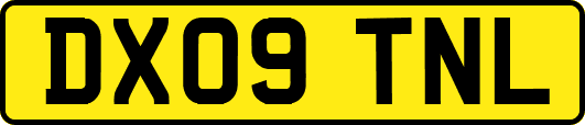 DX09TNL