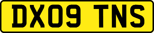DX09TNS