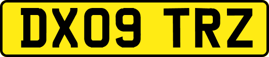 DX09TRZ