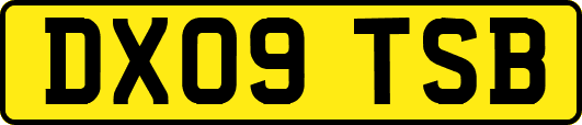 DX09TSB