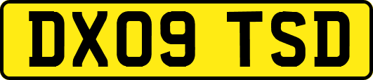 DX09TSD