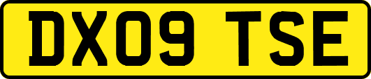 DX09TSE