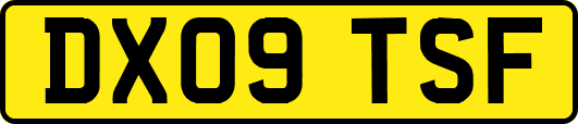 DX09TSF