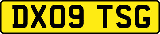 DX09TSG