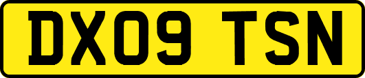 DX09TSN