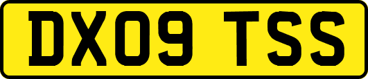 DX09TSS