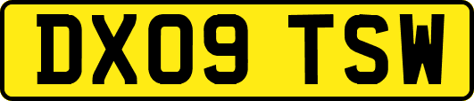 DX09TSW
