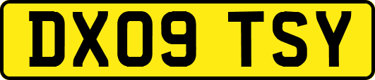 DX09TSY