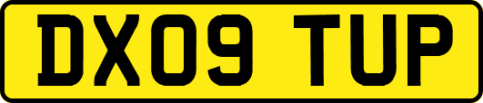 DX09TUP