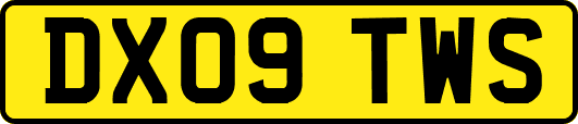 DX09TWS
